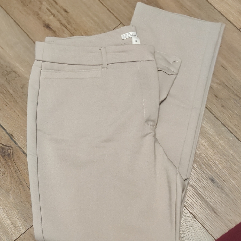 Dana Buchman Light Tan Trousers
